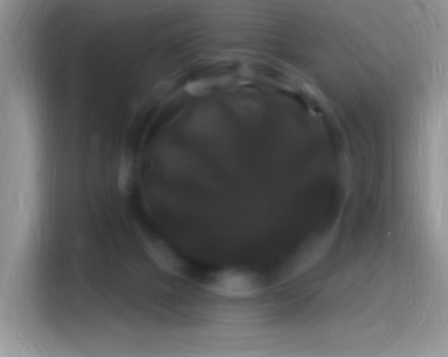 X0000116010073200911251129