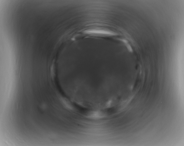 X0000116010074200911251129