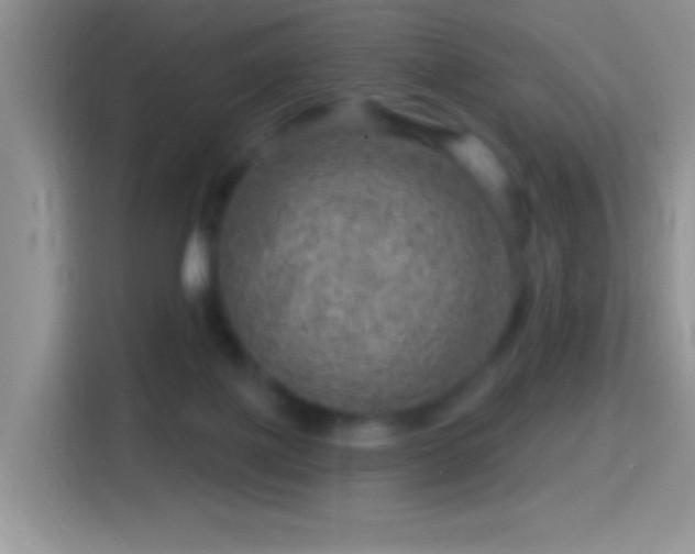 X0000116010075200911251129
