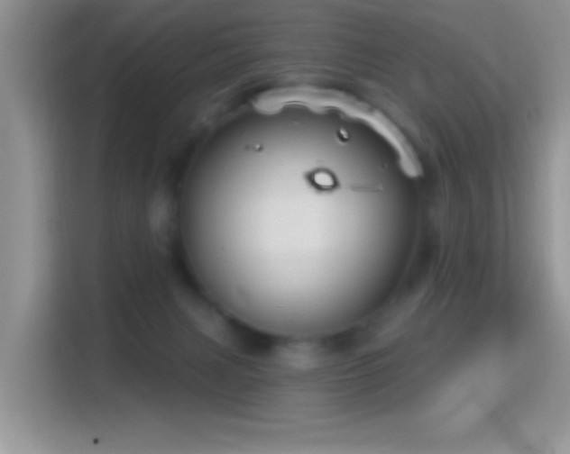 X0000116010079200911251129