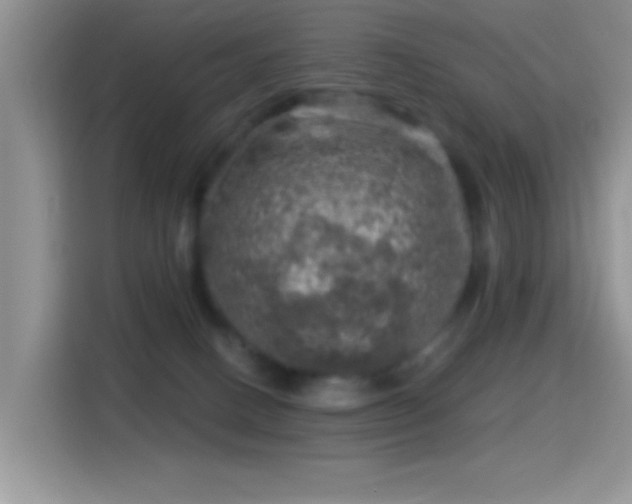 X0000116010082200911251129