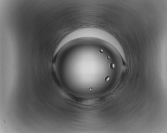 X0000116010084200911251129
