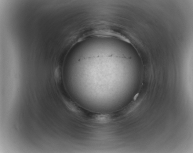 X0000116010088200911251129