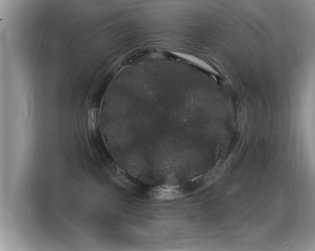 X0000116010093200911251129
