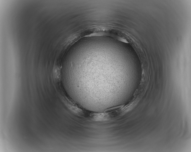 X0000116010096200911251129