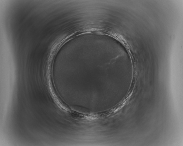 X0000116010097200911251128