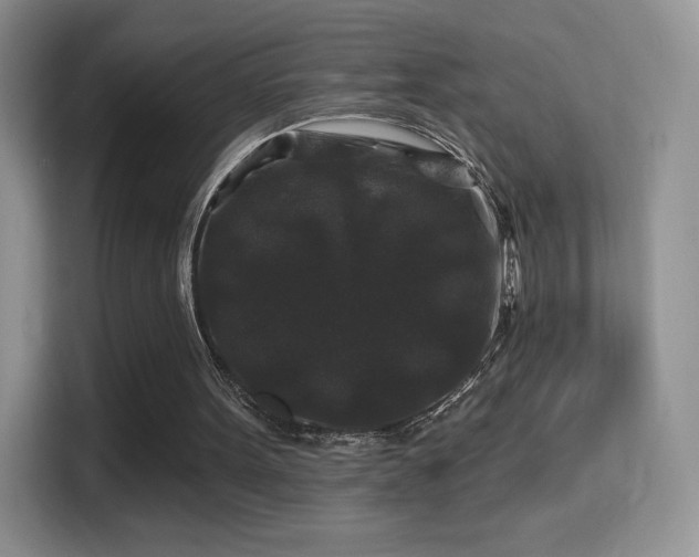 X0000116010099200911251128