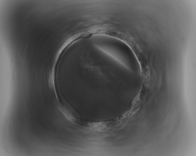 X0000116010100200911251128