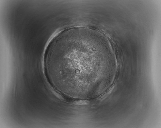 X0000116010102200911251128