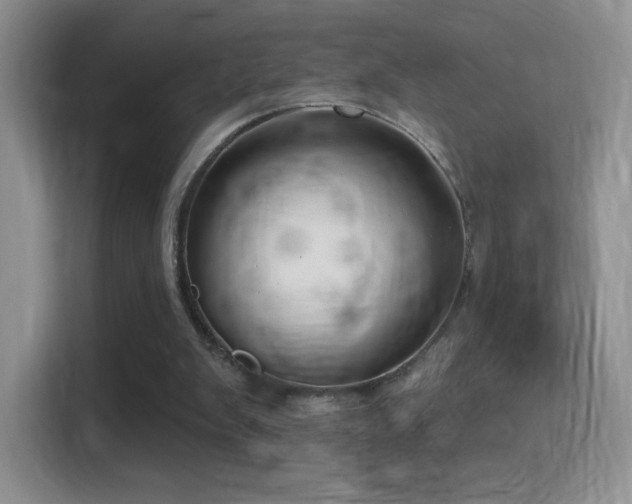 X0000116010103200911251128
