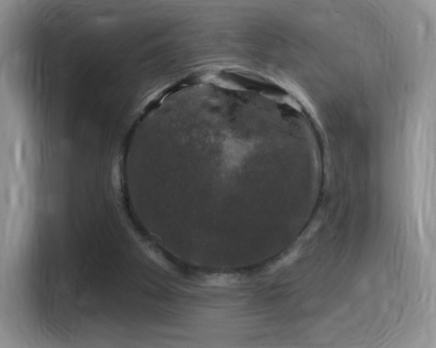 X0000116010105200911251128
