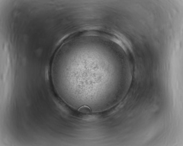 X0000116010107200911251128