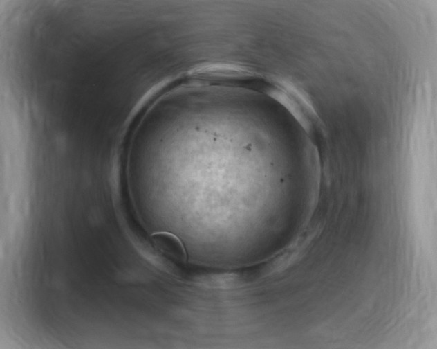 X0000116010108200911251128