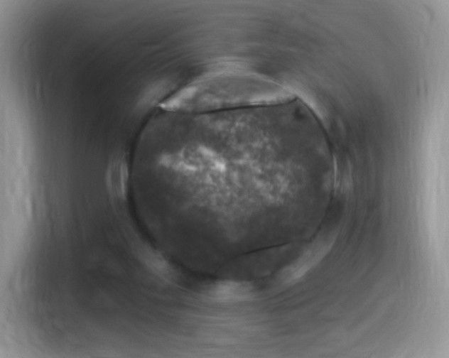 X0000116010109200911251128