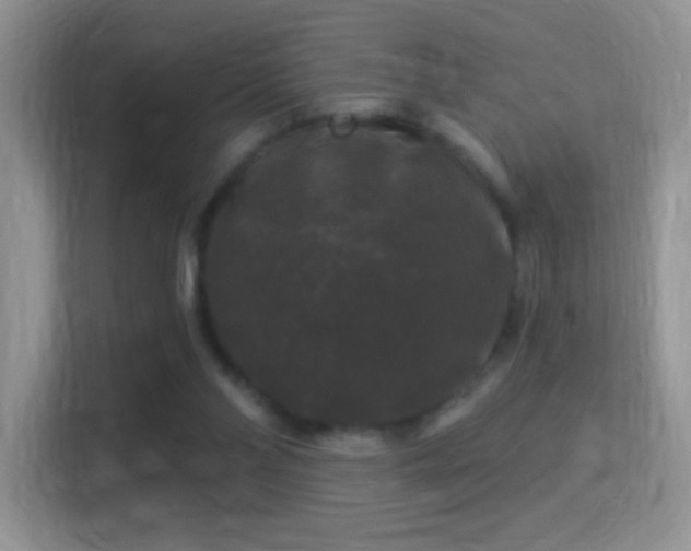 X0000116010110200911251128