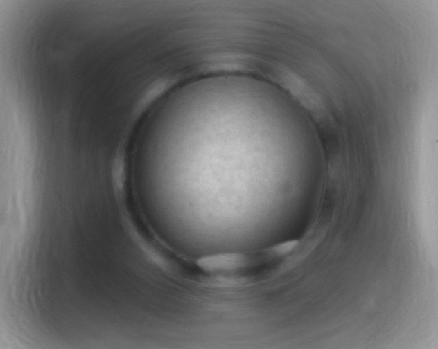 X0000116010112200911251128