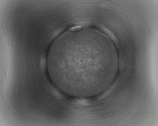 X0000116010113200911251128
