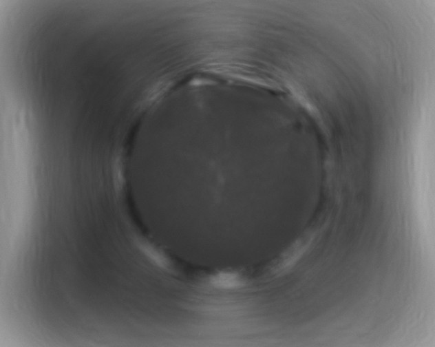 X0000116010114200911251128