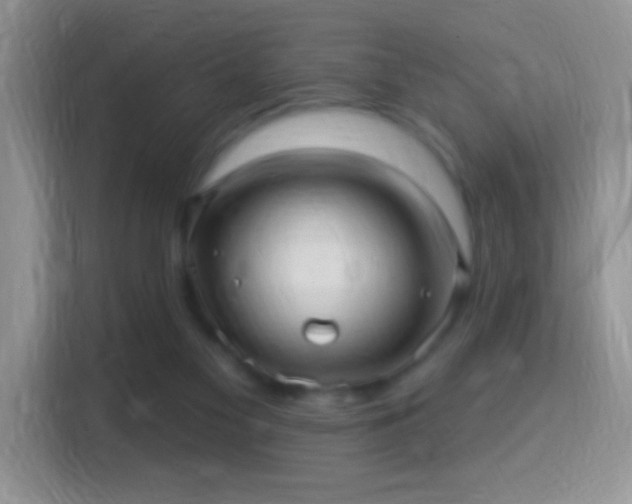X0000116010117200911251128