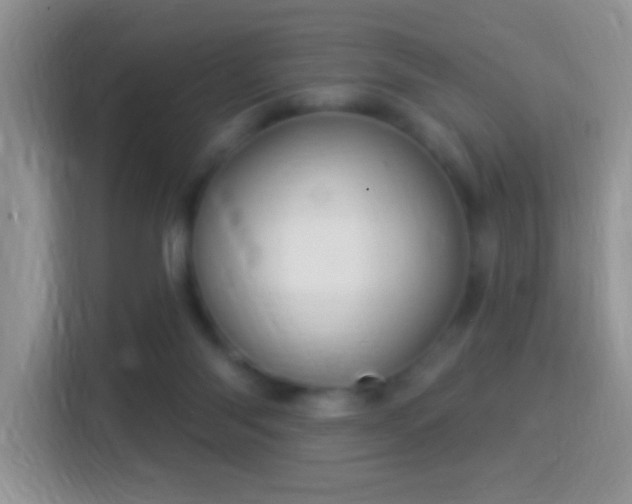 X0000116010118200911251128