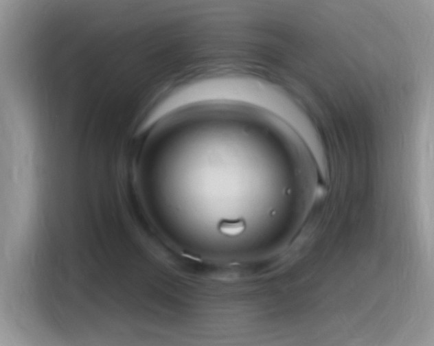 X0000116010120200911251128