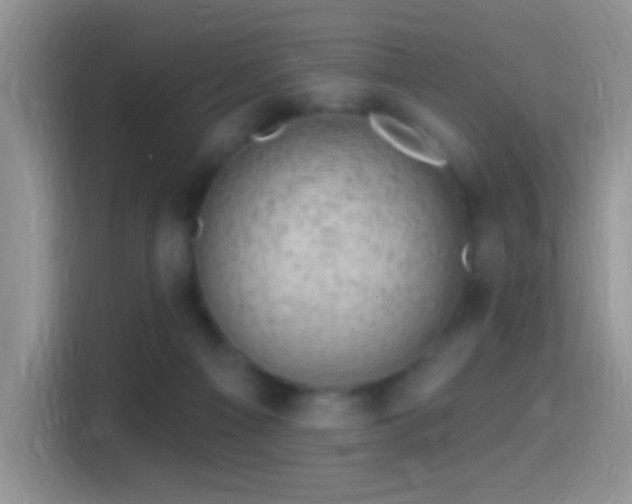X0000116010121200911251128