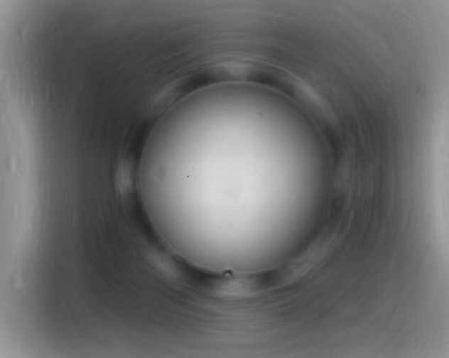 X0000116010122200911251128