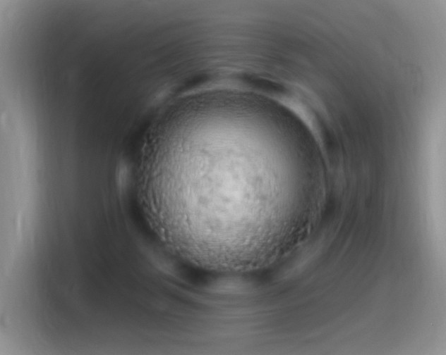 X0000116010123200911251128