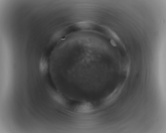 X0000116010124200911251128