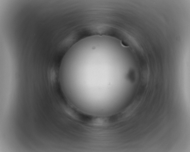 X0000116010126200911251128
