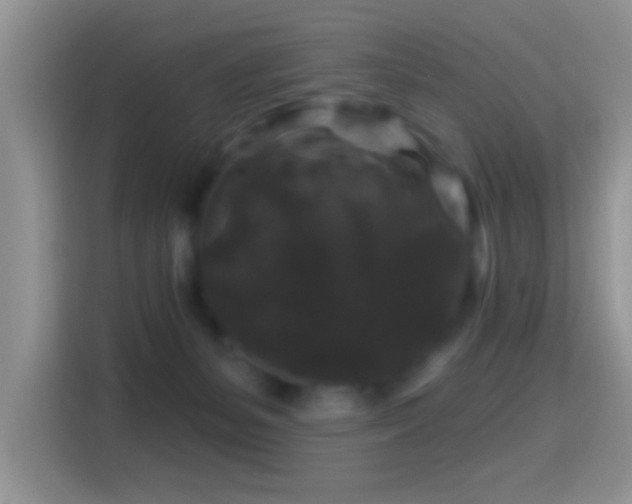 X0000116010127200911251128