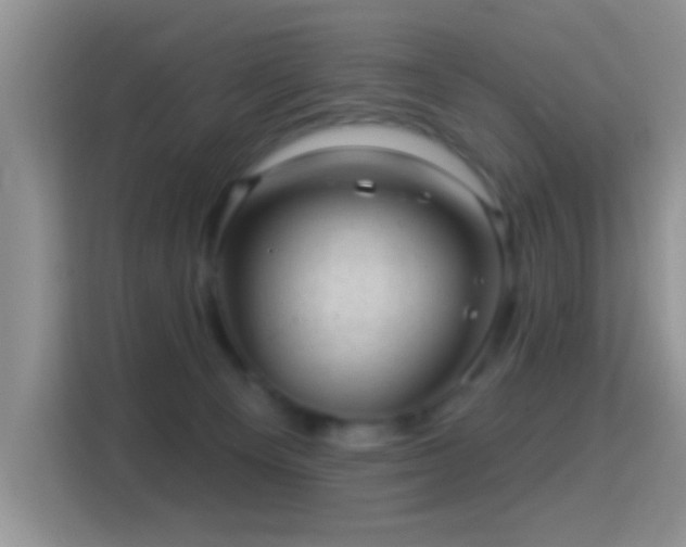 X0000116010129200911251128