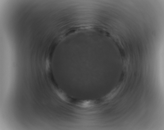 X0000116010130200911251128