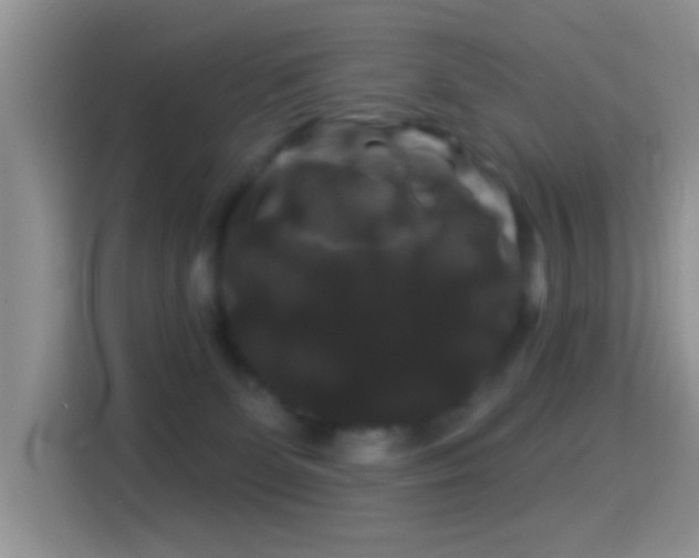 X0000116010131200911251128