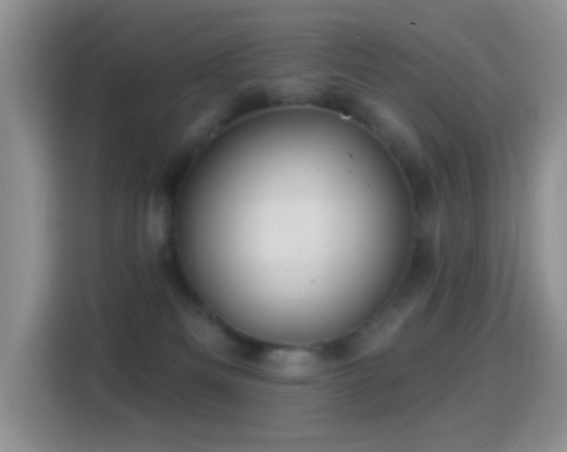 X0000116010133200911251128