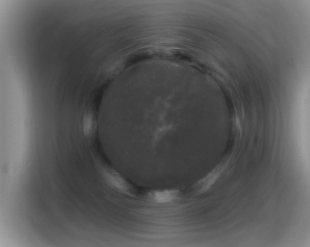 X0000116010134200911251128