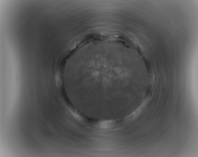 X0000116010136200911251128