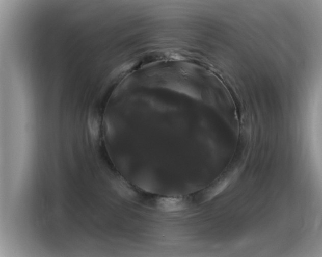 X0000116010139200911251128