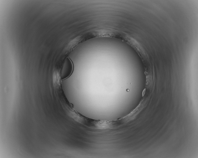 X0000116010142200911251128
