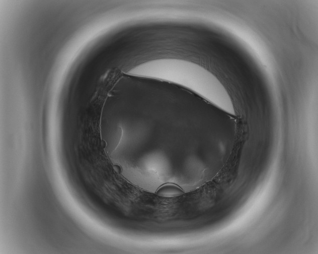 X0000116010143200911251128