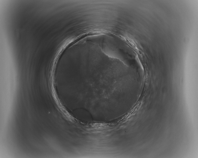 X0000116010145200911251127