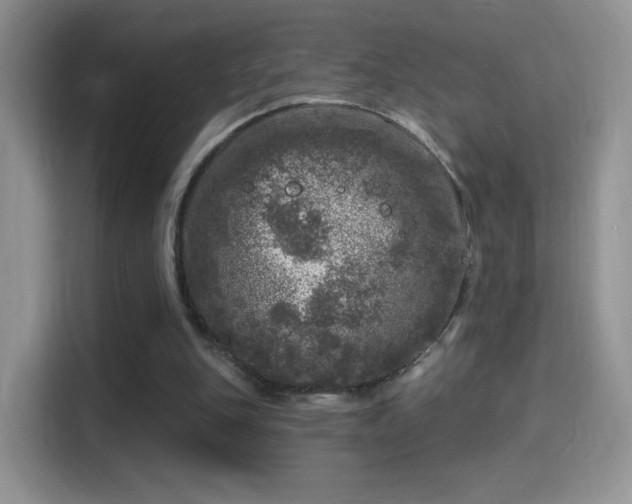 X0000116010151200911251127