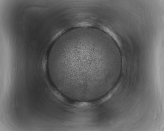 X0000116010153200911251127