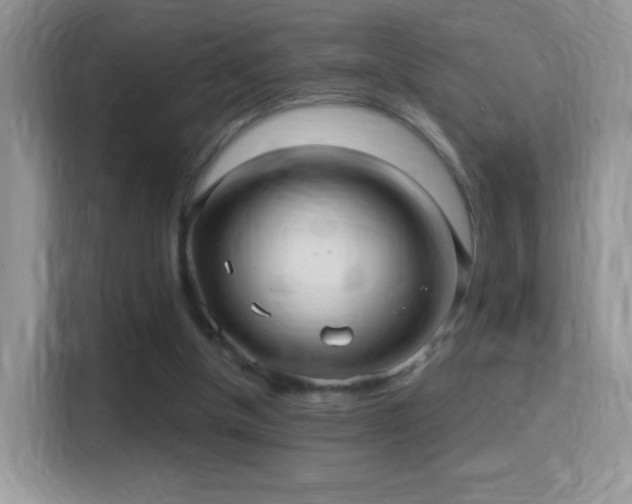 X0000116010154200911251127