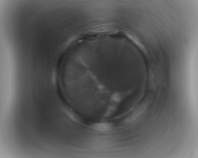 X0000116010161200911251127