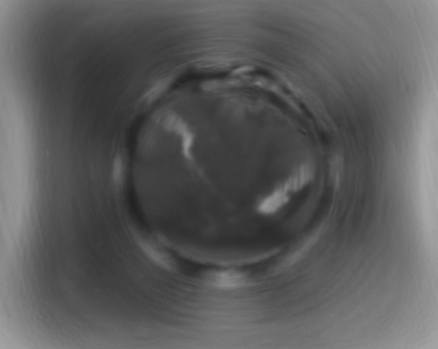 X0000116010165200911251127