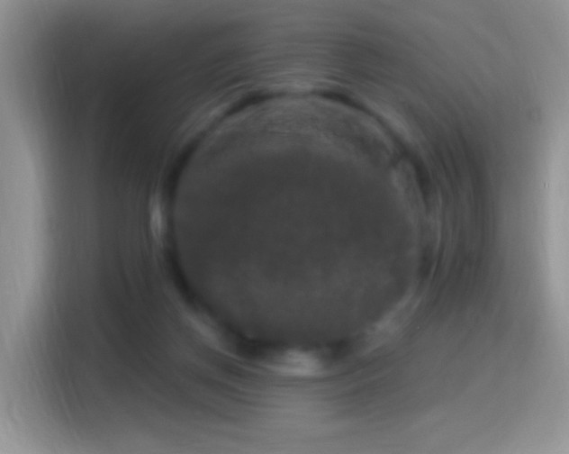 X0000116010166200911251127