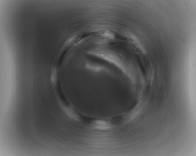 X0000116010167200911251128