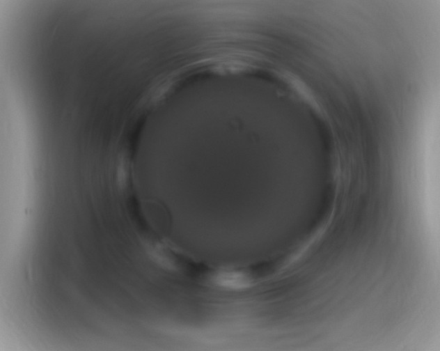 X0000116010169200911251128