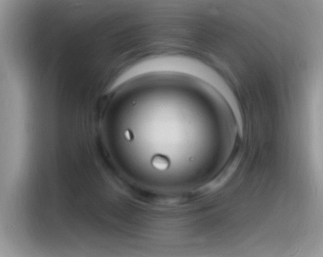 X0000116010170200911251128